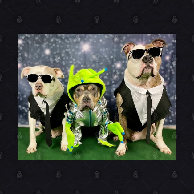 MiB by TeamPitCrewDogs